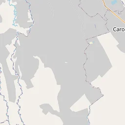 Natural vegetation detail