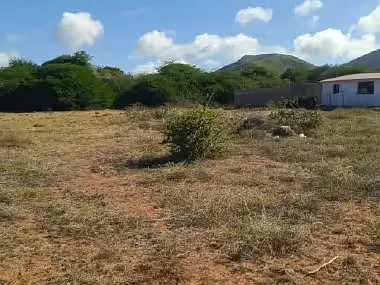Wide open field landscape