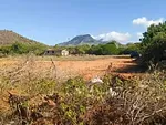 Excellent plots of land in Aricagua, municipality of Antolín del Campo - Calle en progreso 49, 50, 78, 79, 6301 Paraguachí - Plot of land for sale thumbnail 3