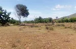FARM LAND FOR AGRICULTURAL USE AND WITH WELL-HEYING - acuario terreno, 6301 Paraguachí - Plot of land for sale thumbnail 4