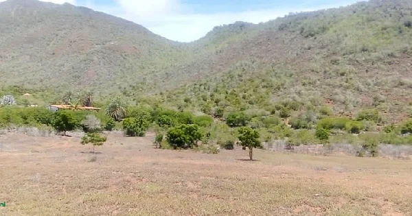 FARM LAND FOR AGRICULTURAL USE AND WITH WELL-HEYING - acuario terreno, 6301 Paraguachí - Plot of land for sale
