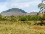 FARM LAND FOR AGRICULTURAL USE AND WITH WELL-HEYING - acuario terreno, 6301 Paraguachí - Plot of land for sale thumbnail 3