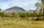 FARM LAND FOR AGRICULTURAL USE AND WITH WELL-HEYING - acuario terreno, 6301 Paraguachí - Plot of land for sale thumbnail 5