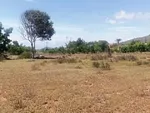FARM LAND FOR AGRICULTURAL USE AND WITH WELL-HEYING - acuario terreno, 6301 Paraguachí - Plot of land for sale thumbnail 2