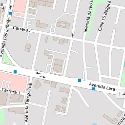 Street view perspective