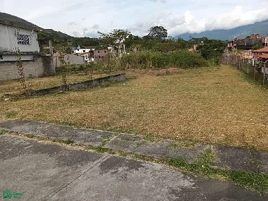 Open land with vegetation