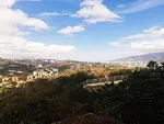 Land with Stunning View in the Coffee Plantation - Live Close to the Sky - Loma de Maturín Nº 39, 1061 Caracas - Plot of land for sale thumbnail 3