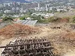 Land with Stunning View in the Coffee Plantation - Live Close to the Sky - Loma de Maturín Nº 39, 1061 Caracas - Plot of land for sale thumbnail 4