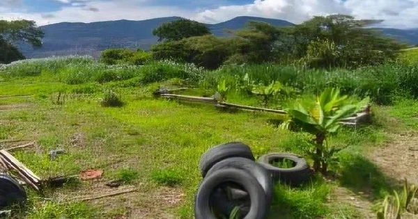 Land for sale La Chucuri - La Chucuri 5, 5001 San Cristobal - Plot of land for sale