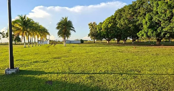 Furnished Productive Farm with 6 Hectares and Privileged Location in Maturín - Calle Principal Sector Brisas del Paraíso Zona In, 6201 Maturin - 3 beds plot of land for sale