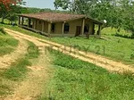 Sale of farm/estate in Tucacas, Silva, Tucacas, Falcón thumbnail 3