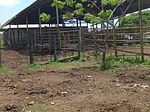 Sale of farm/estate in Tucacas, Silva, Tucacas, Falcón thumbnail 5