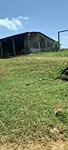Sale of farm/estate in Tucacas, Silva, Tucacas, Falcón thumbnail 2