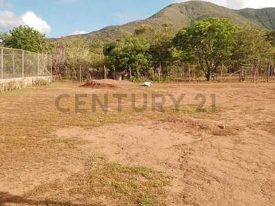 Open space with utility pole