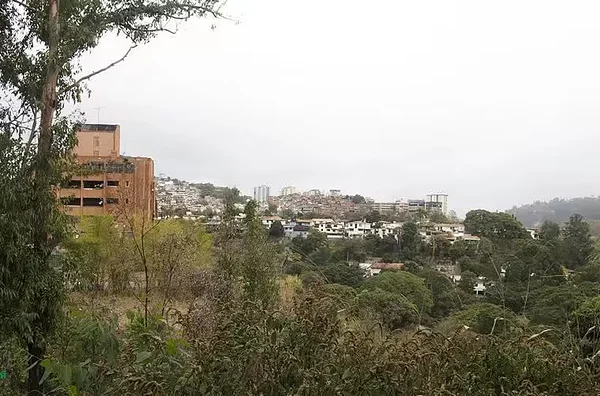 Wide view of undeveloped property