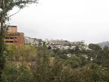 Natural terrain and trees