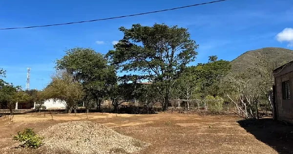 Aerial view of vacant land