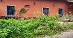 Land for sale with real estate project started in Palo Sano La Asuncion - Calle Principal Terreno, 6310 La Asuncion - House for sale thumbnail 2