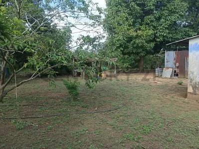 farm/estate for sale in Maturín, Maturín, Monagas - Image 3